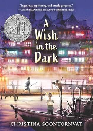A Wish in the Dark book cover