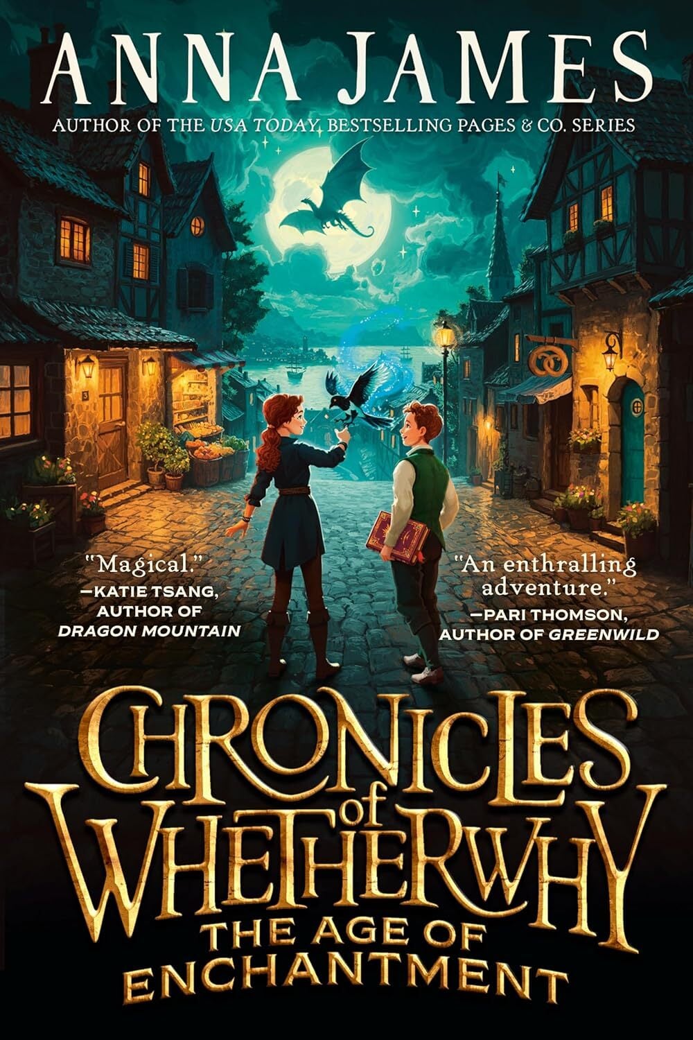 Chronicles of Whetherwhy: The Age of Enchantment book cover
