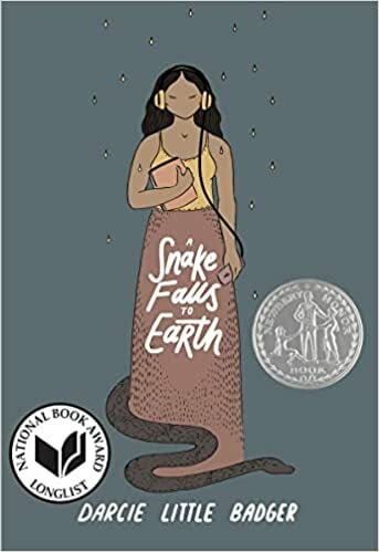 A Snake Falls to Earth book cover