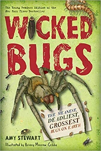 Buggy Bugs book cover