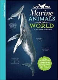 Marine Animals of the World
