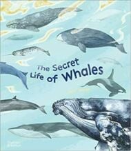 The Secret Life of Whales
