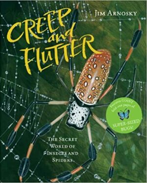 Creep and Flutter: The Secret World of Insects and Spiders