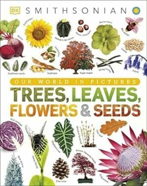 DK Trees, Leaves, Flowers & Seeds