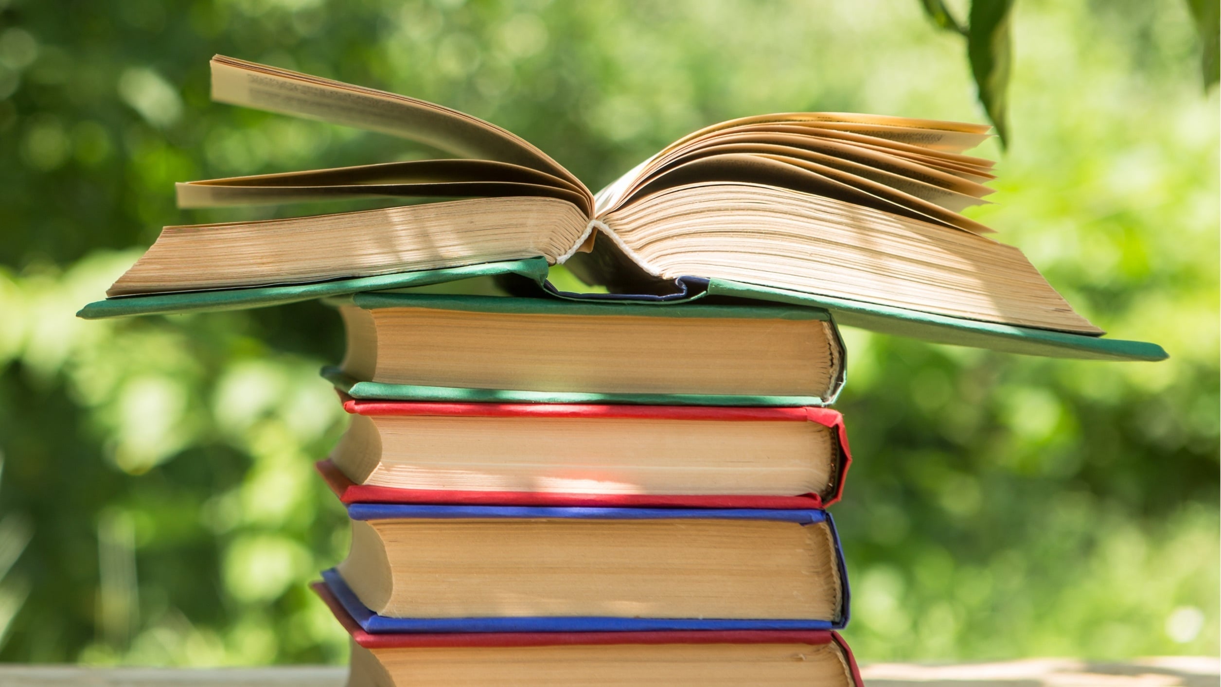 Literature Study: Fahrenheit 451